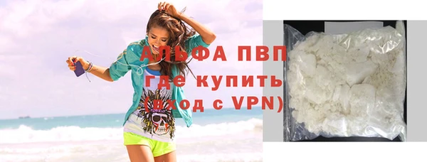 индика Арсеньев