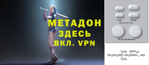 индика Арсеньев