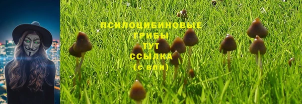 индика Арсеньев