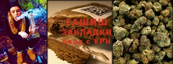 индика Арсеньев