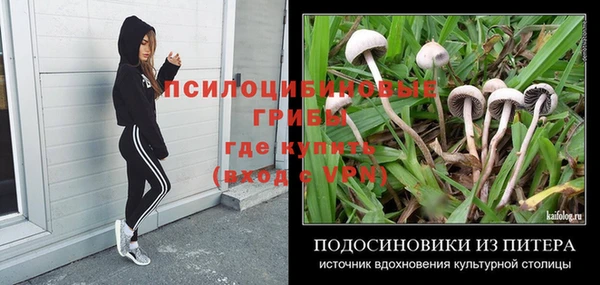 индика Арсеньев