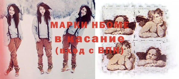 индика Арсеньев