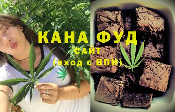 индика Арсеньев