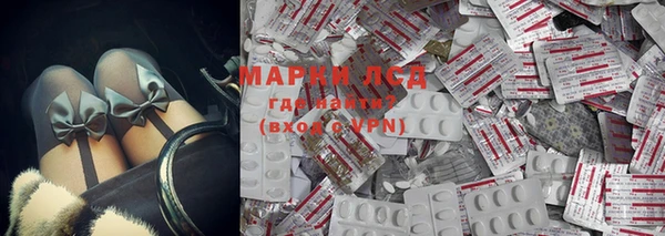 индика Арсеньев