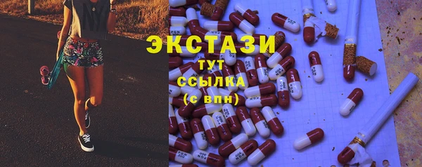 индика Арсеньев