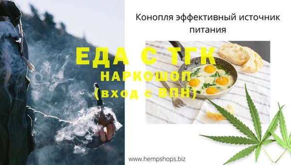 индика Арсеньев