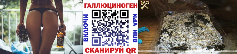 Псилоцибиновые грибы Cubensis  Избербаш 
